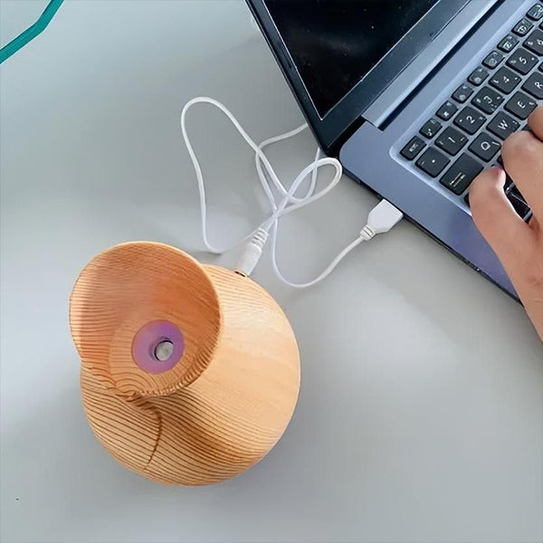 Decorative Wooden Diffuser
