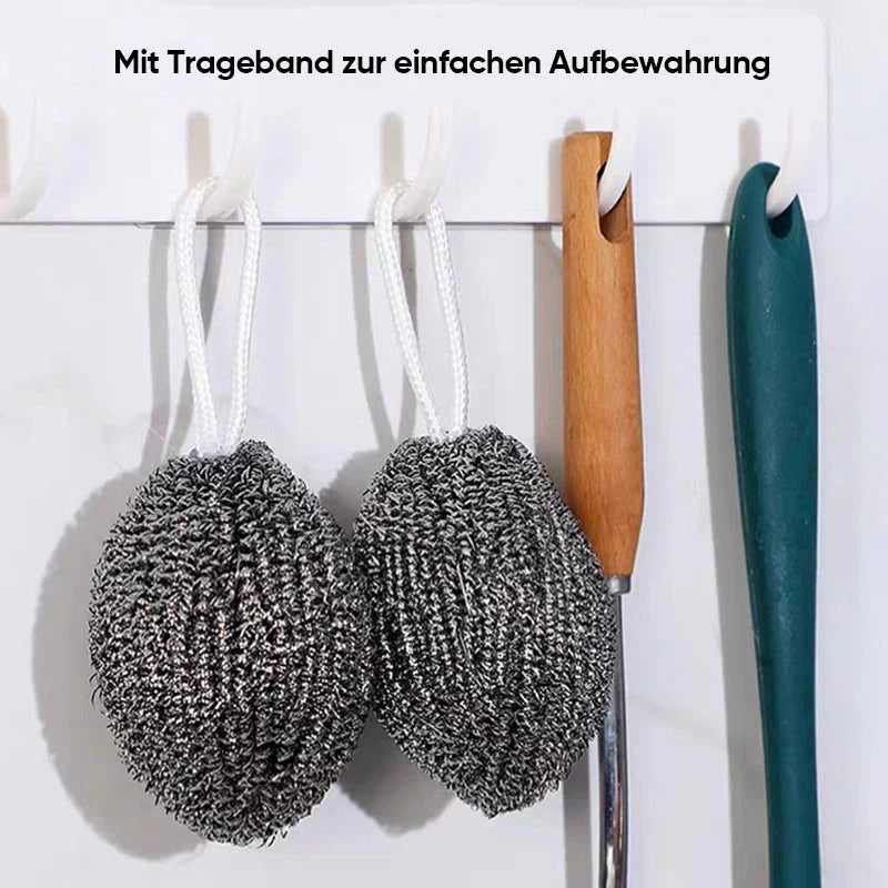 Robust Wire Dishwashing Sponge (6 Pieces)