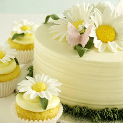 Creative 33 - Piece Cake Decorating Set