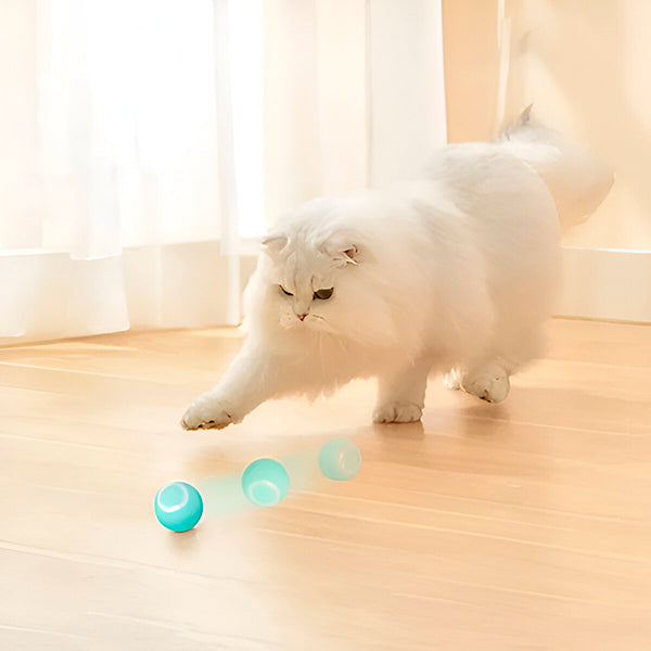 Interactive, Automatically Rolling Pet Ball