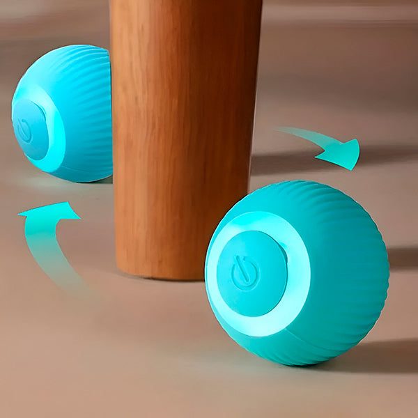 Interactive, Automatically Rolling Pet Ball
