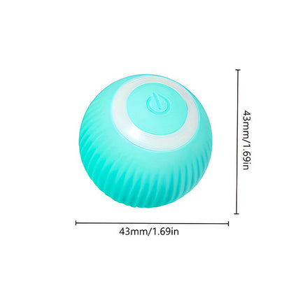 Interactive, Automatically Rolling Pet Ball