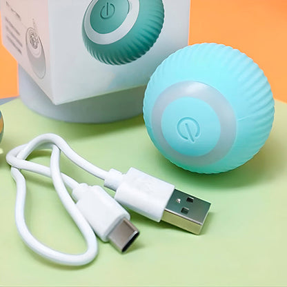 Interactive, Automatically Rolling Pet Ball