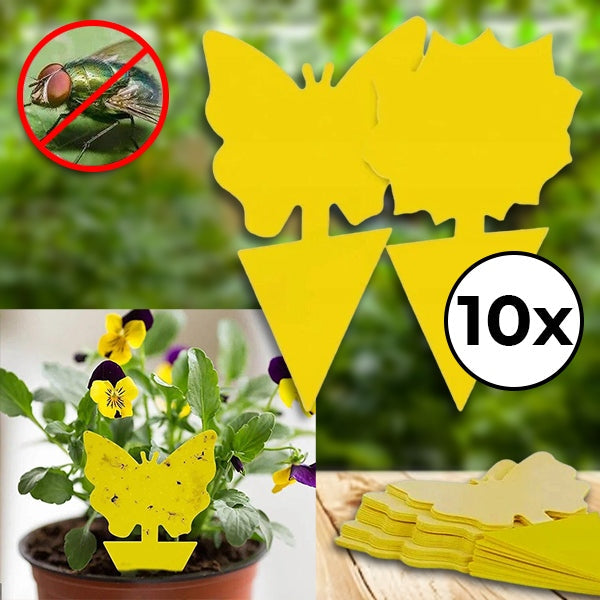 Sticky Traps for Flies & Insects