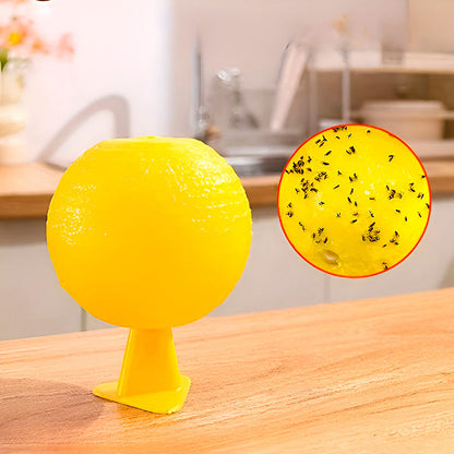 Hanging Fly Trap with Adhesive Layer (6 Pieces)