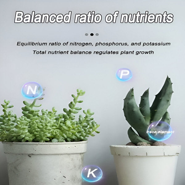 Organic Fertilizer in Tablet Form