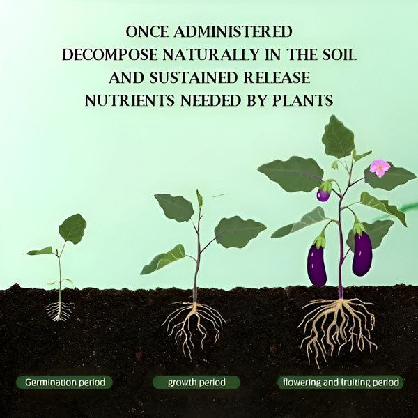 Organic Fertilizer in Tablet Form