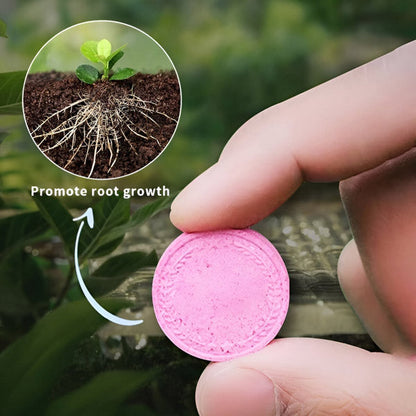 Organic Fertilizer in Tablet Form