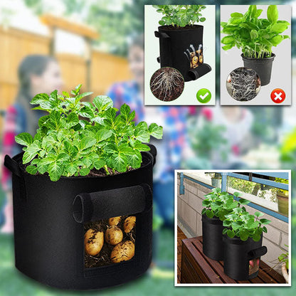 Mobile Planter for Plants