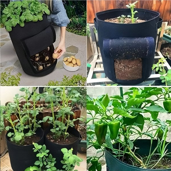 Mobile Planter for Plants