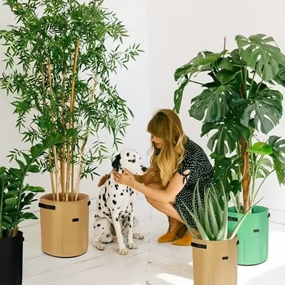 Mobile Planter for Plants