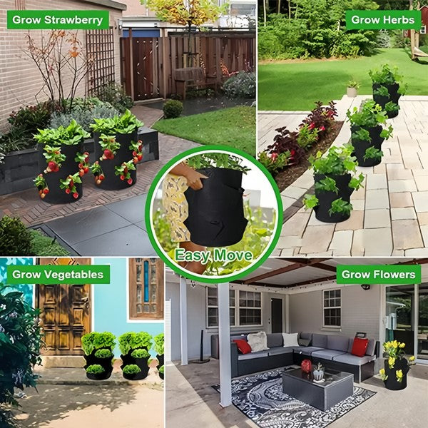 Mobile Planter for Plants