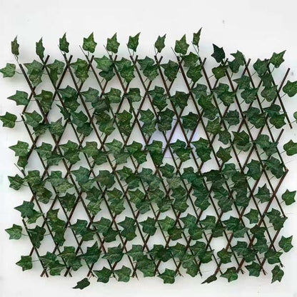 Extendable Privacy Fence