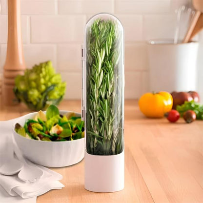 Airtight Herb Container
