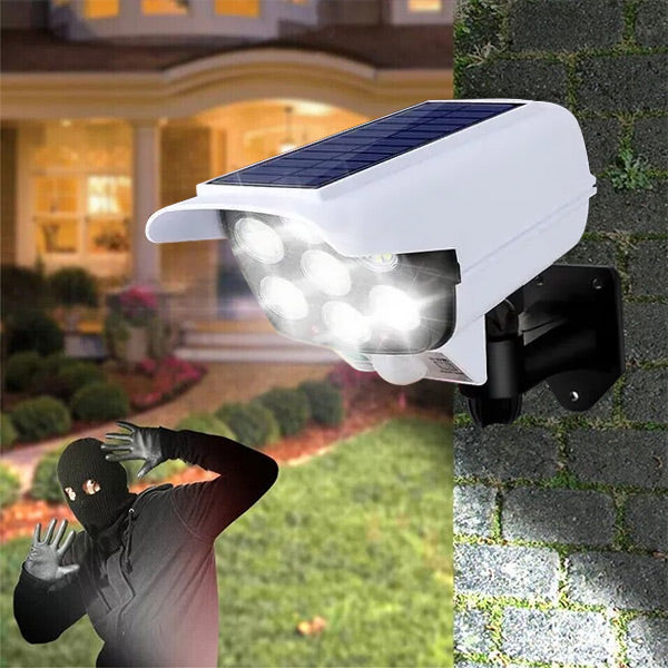 Motion - Activated Solar Light