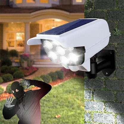 Motion - Activated Solar Light