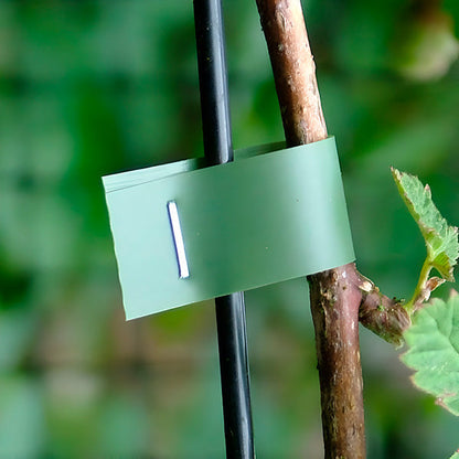 Quick Tying Device for Plants