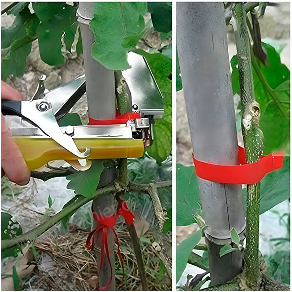 Quick Tying Device for Plants