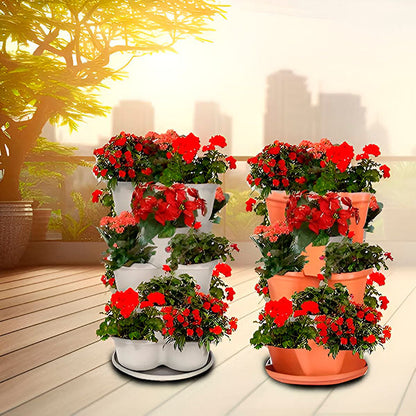 Multi - Height Flower Pots