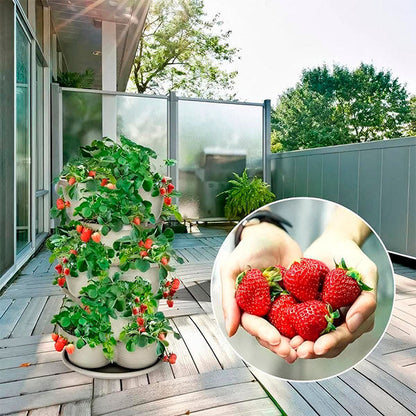 Multi - Height Flower Pots