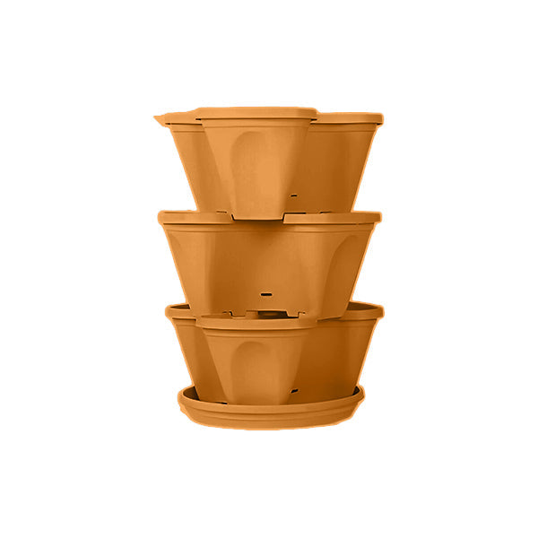 Multi - Height Flower Pots