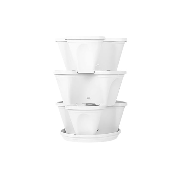 Multi - Height Flower Pots