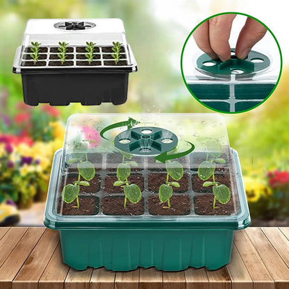 Growing Tray for Seeds