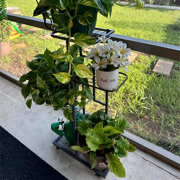 Height - Adjustable Plant Stand (4 Levels)