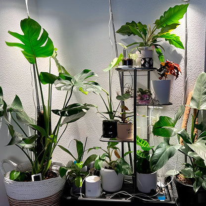 Height - Adjustable Plant Stand (4 Levels)
