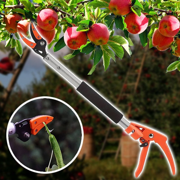 Precise & Powerful Pruning Shears