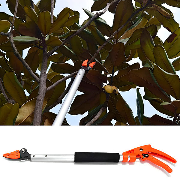 Precise & Powerful Pruning Shears