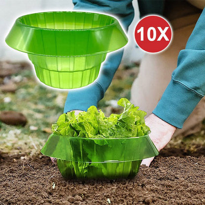 Protecting Young Plants for Healthy Growth