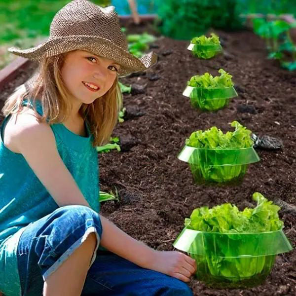 Protecting Young Plants for Healthy Growth
