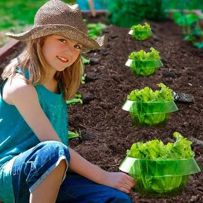 Protecting Young Plants for Healthy Growth