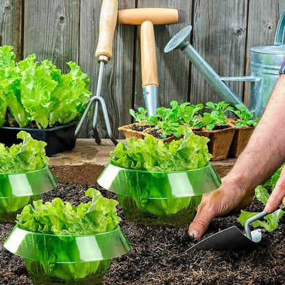 Protecting Young Plants for Healthy Growth
