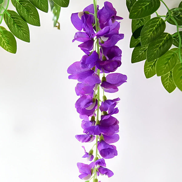 Glycine Blossom Vine Magic 3d