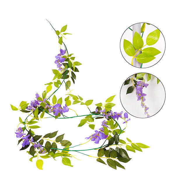 Glycine Blossom Vine Magic 3d