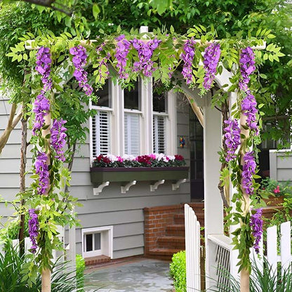 Glycine Blossom Vine Magic 3d