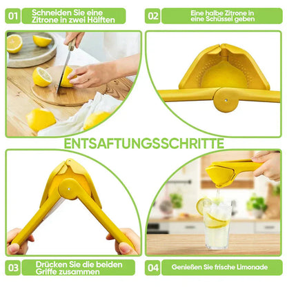 Hand - Operated Lemon and Orange Juicer