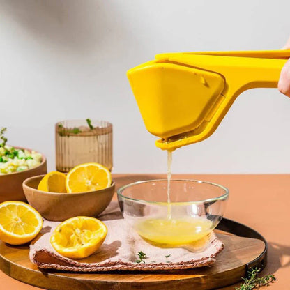 Hand - Operated Lemon and Orange Juicer