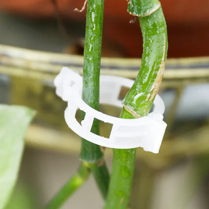 Robust Plant Clips for a Secure Hold (100 Pieces)