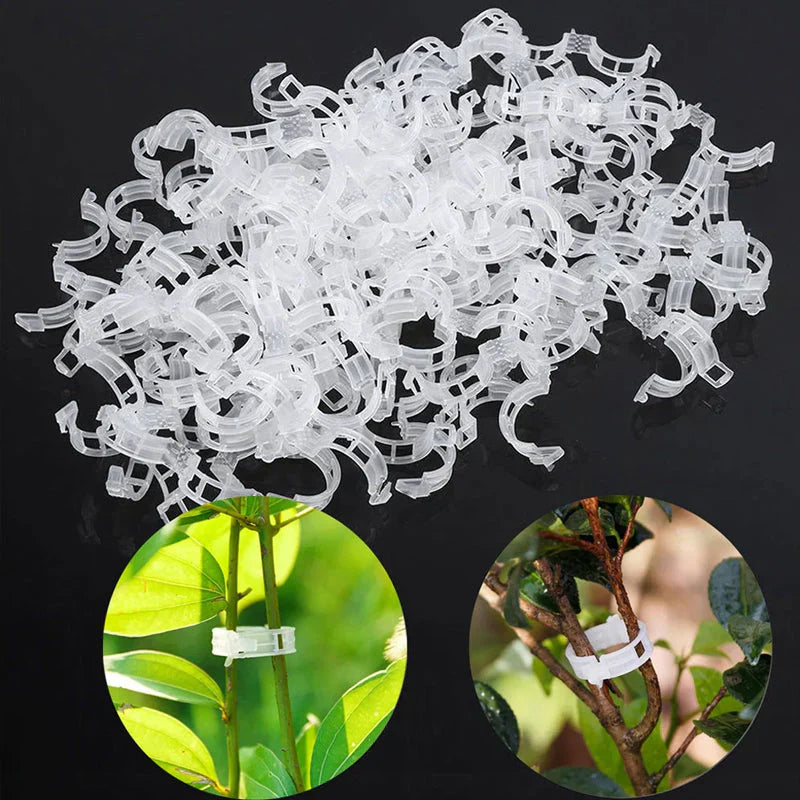 Robust Plant Clips for a Secure Hold (100 Pieces)