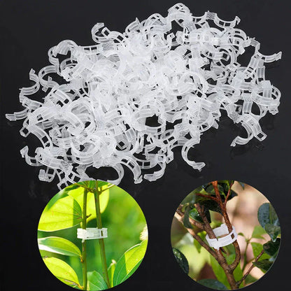 Robust Plant Clips for a Secure Hold (100 Pieces)