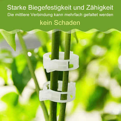 Robust Plant Clips for a Secure Hold (100 Pieces)