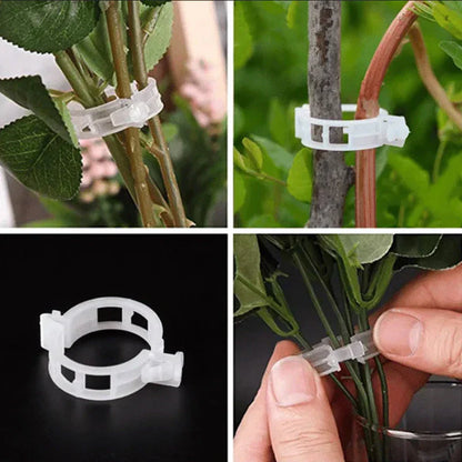 Robust Plant Clips for a Secure Hold (100 Pieces)