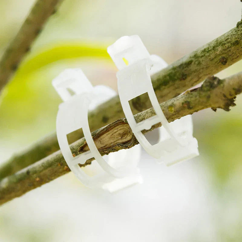 Robust Plant Clips for a Secure Hold (100 Pieces)