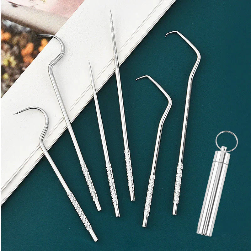 Reusable Stainless Steel Toothpicks with Case