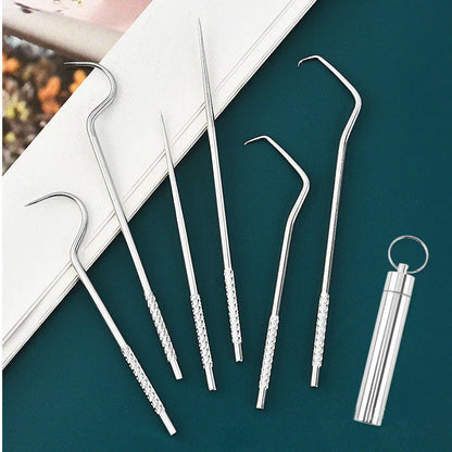 Reusable Stainless Steel Toothpicks with Case