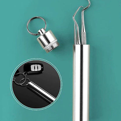 Reusable Stainless Steel Toothpicks with Case