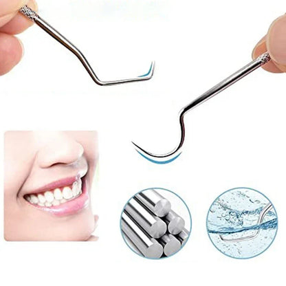 Reusable Stainless Steel Toothpicks with Case